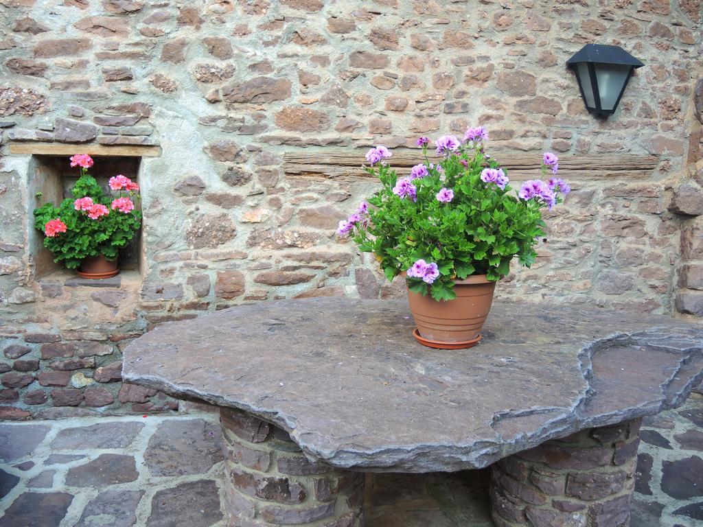 Turisme Rural Lo Palle De Cal Bosch Llagunes Exterior photo