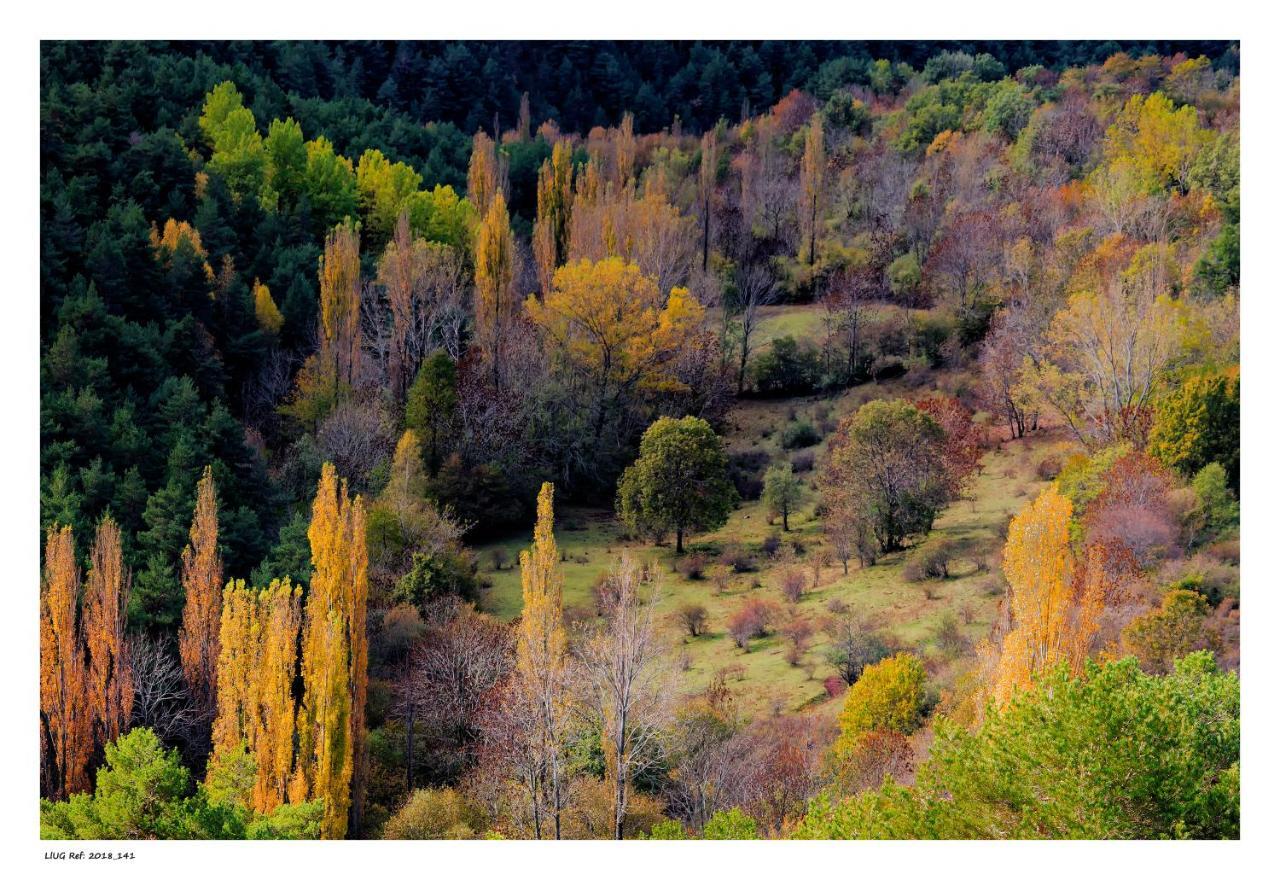 Turisme Rural Lo Palle De Cal Bosch Llagunes Exterior photo